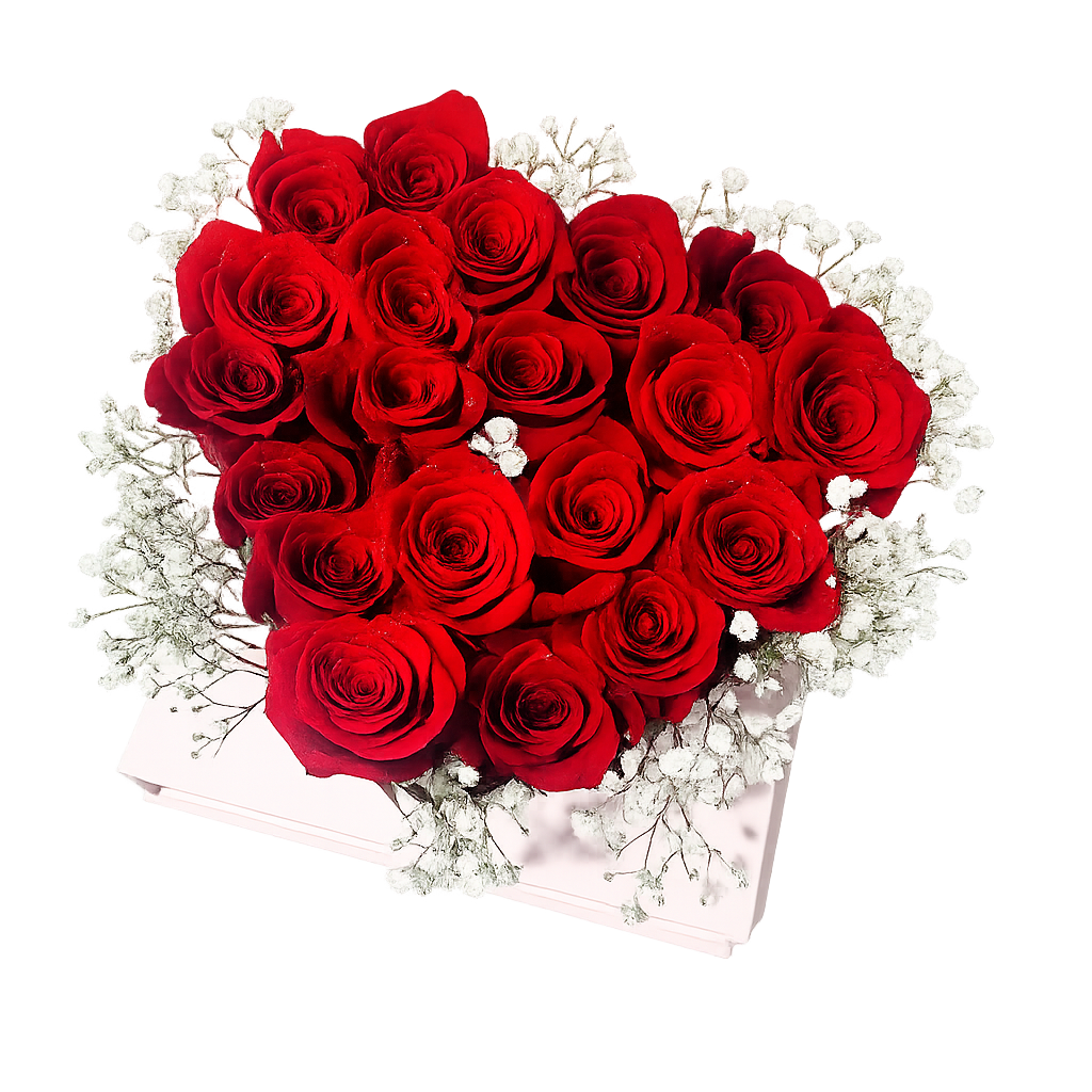 Fresh Roses in Gift Box