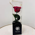 Red rose in a clear cylindrical container with a black base on a white background